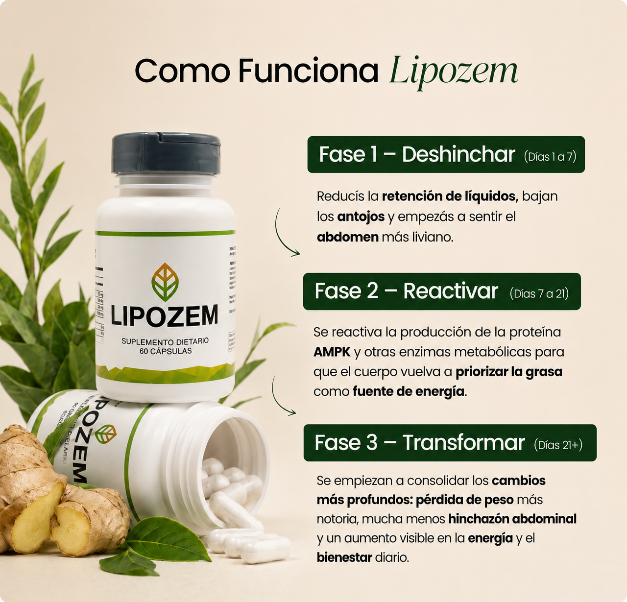 LIPOZEM®  | Menos hinchazón, menos peso, más vos.